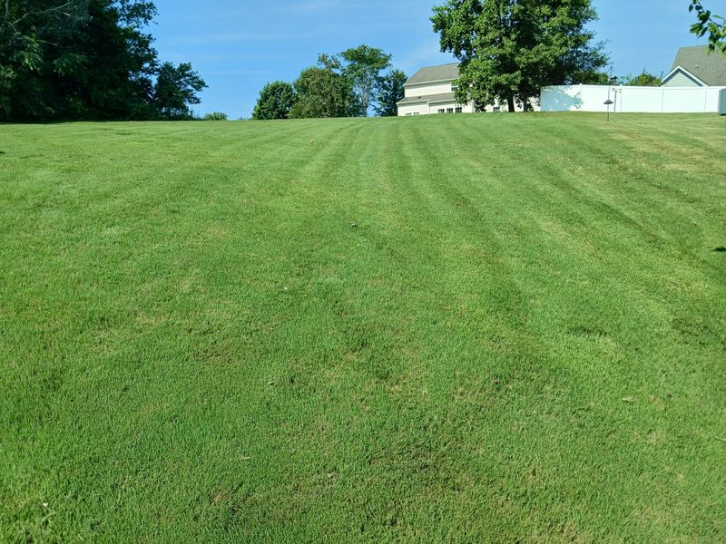 Mowing