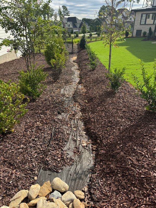 Drainage