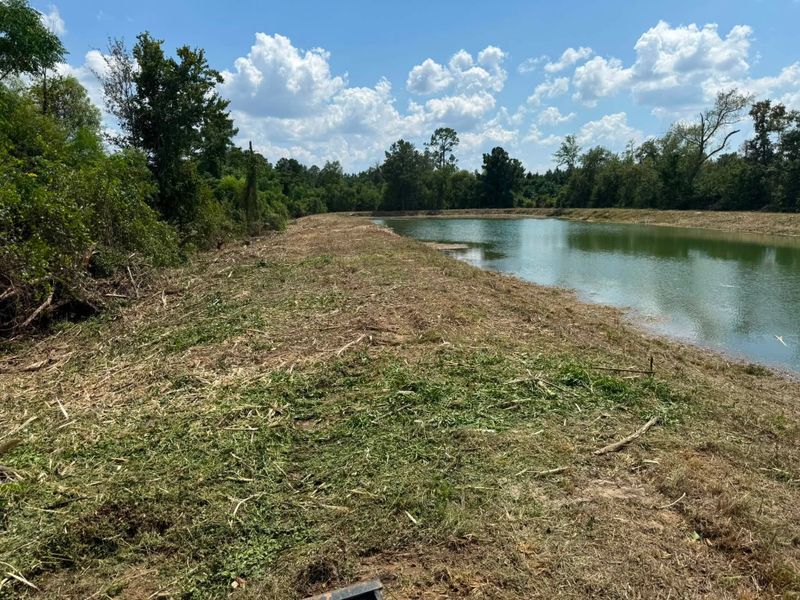Land Clearing