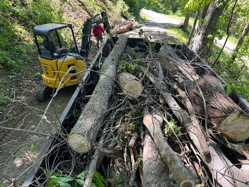 Debris clean-up