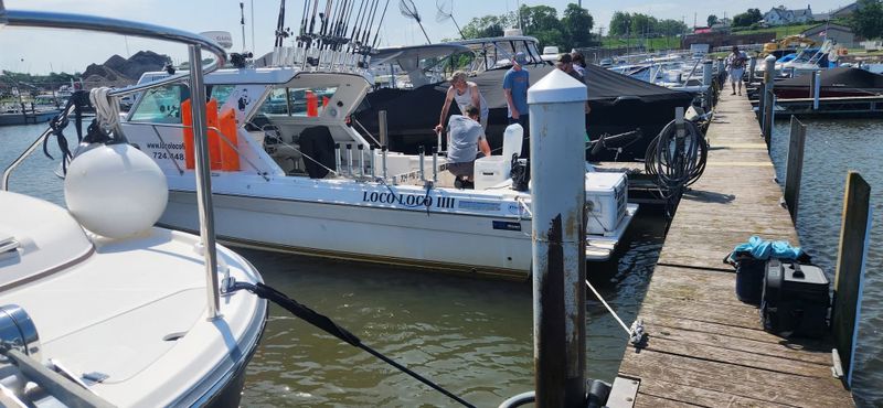 Boat Rental