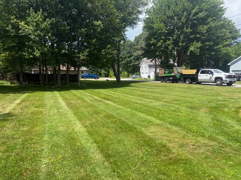 Mowing