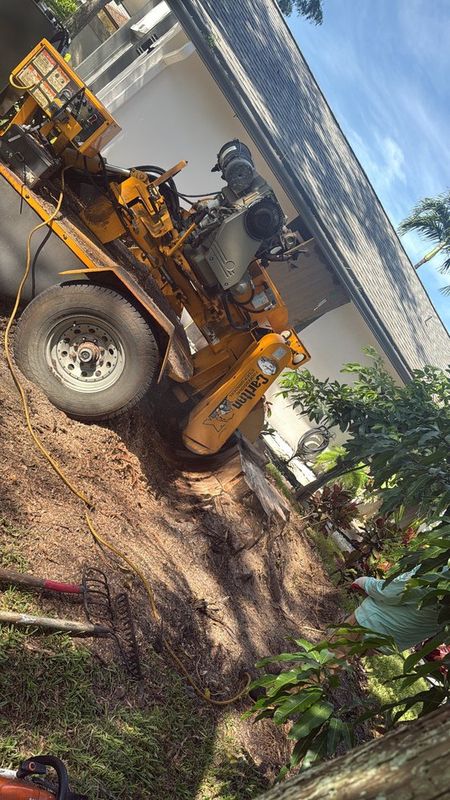 Stump Grinding