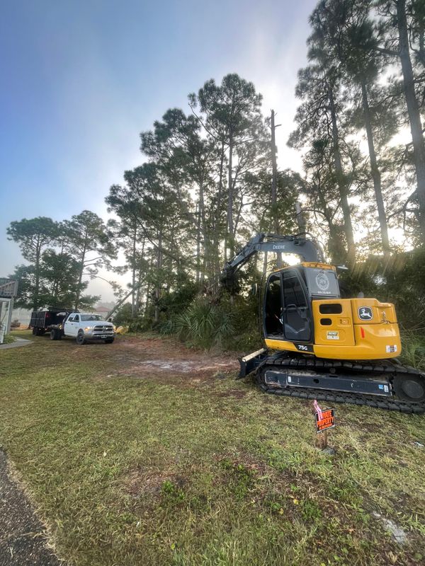 Land Clearing/ Forestry Mulching