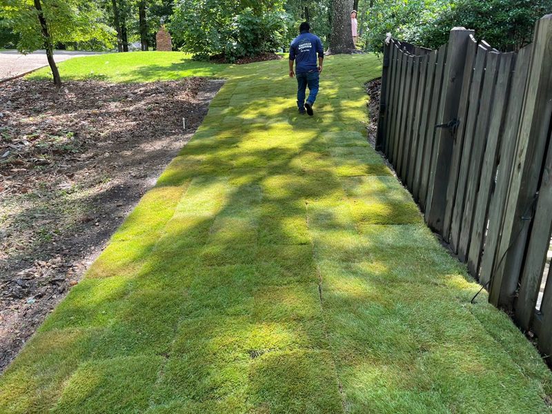 Landscape Design