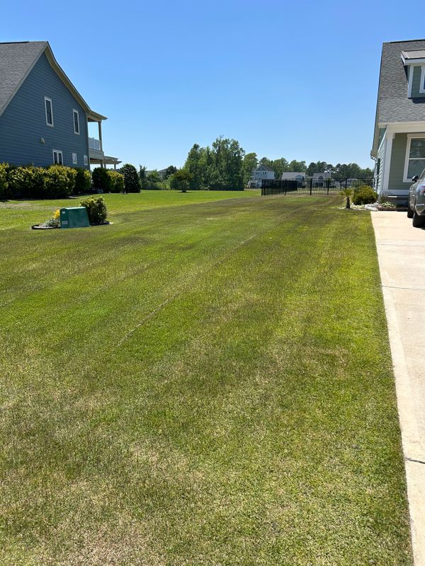 Lawn Maintenance