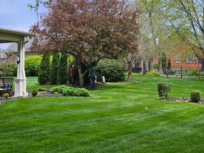Lawn Maintenance Service
