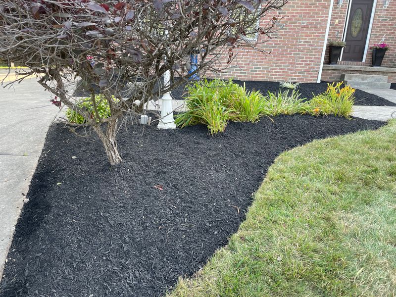 Mulch Installation