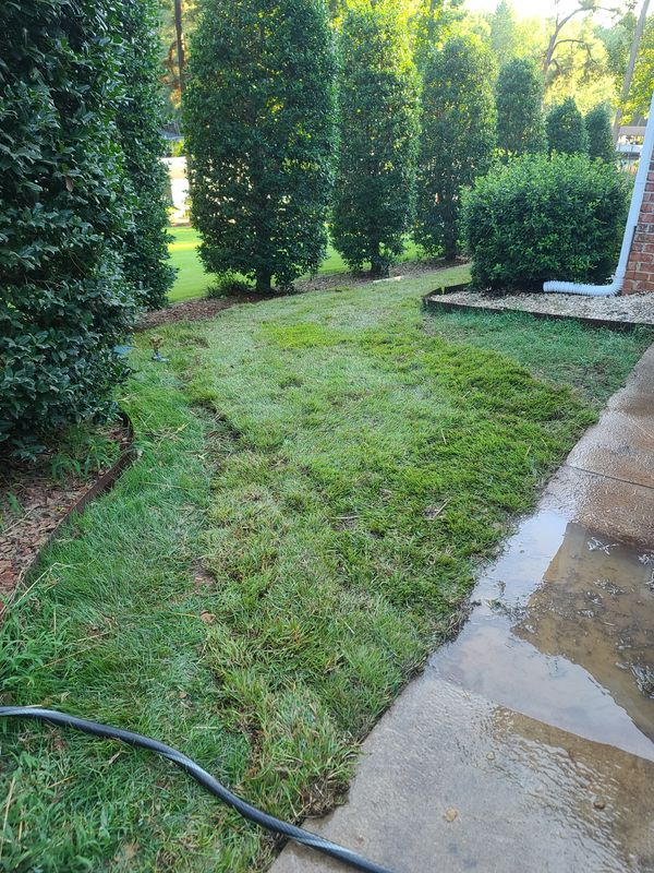Lawn Maintenance