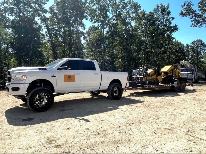 Other Tree Services