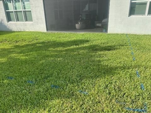Lawn Aeration