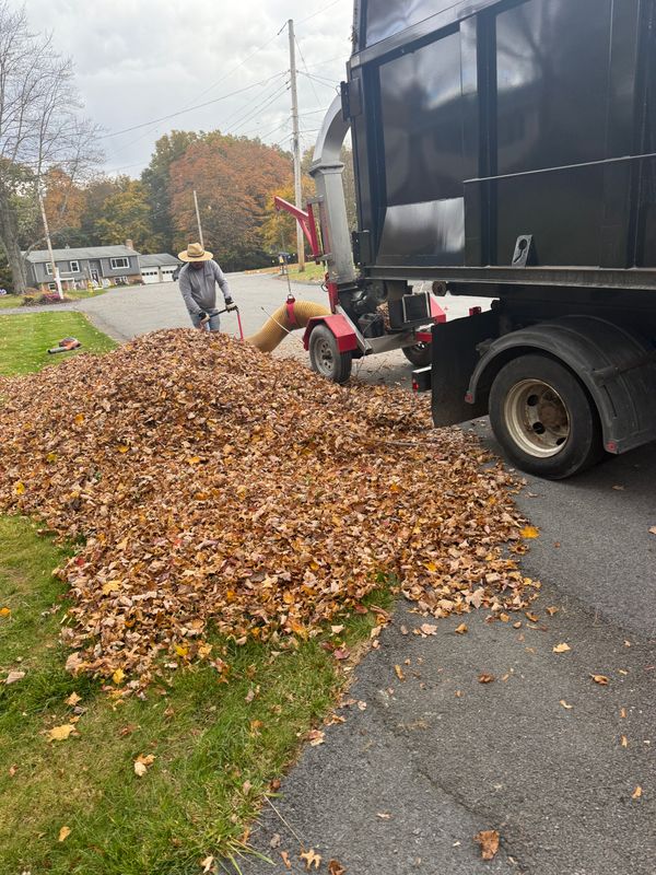 Fall Clean Up