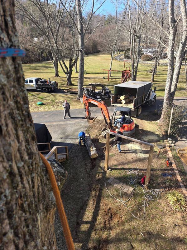 Tree Trimming & Removal