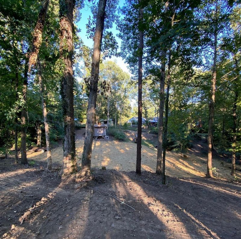 Land Clearing