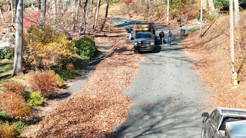 Spring & Fall Clean ups gallery