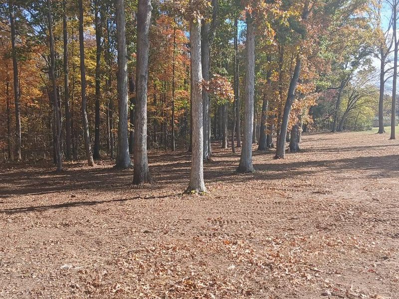 Forestry Mulching