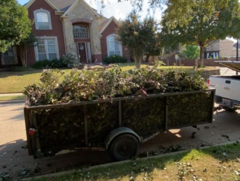Junk & Debris Removal