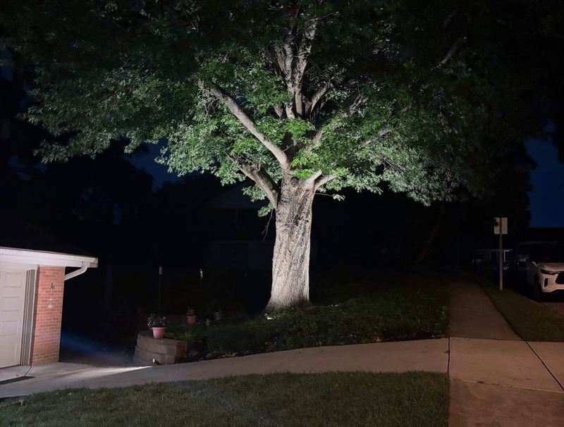 Lighting Installs