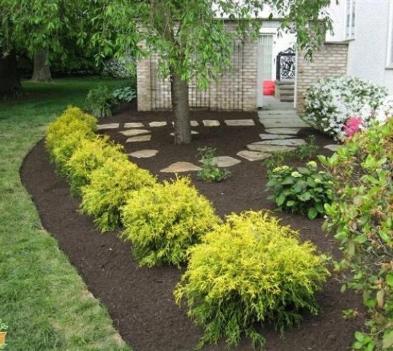 Landscape Design