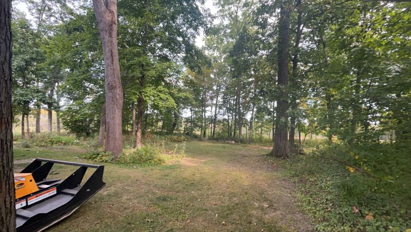"Revitalizing Lena: Transforming Overgrown Terrain with Fransen's Expert Tree Service"