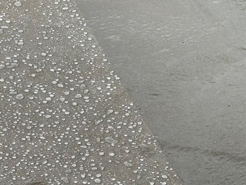 Concrete Sealing