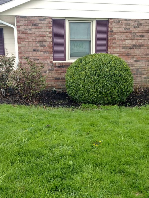 Tree and Shrub Planting