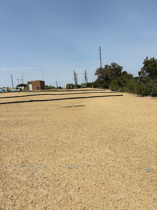 Hydroseeding