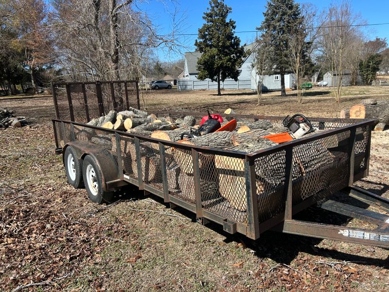 Tree Removal & Limbing 
