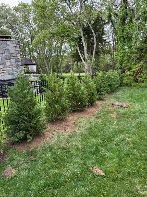 Privacy Tree's