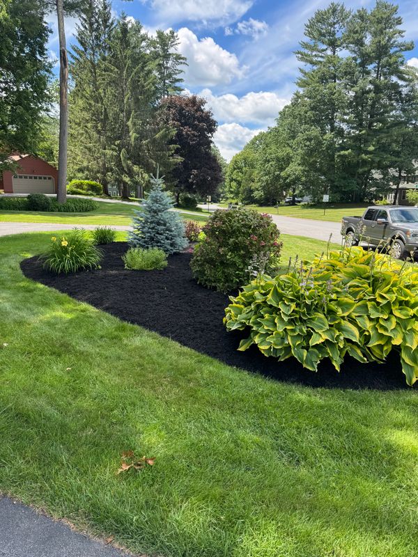 Lawn Maintenance