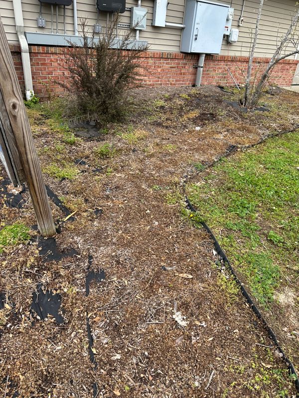 Mulch Installs