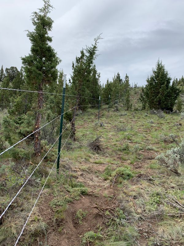 Barbed Wire Fencing