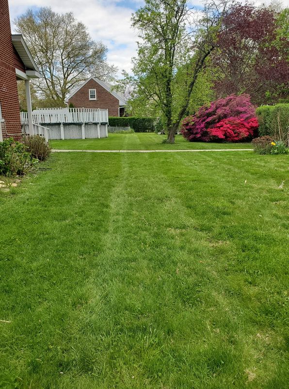 Lawn Care
