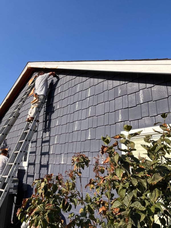 Exterior Painting