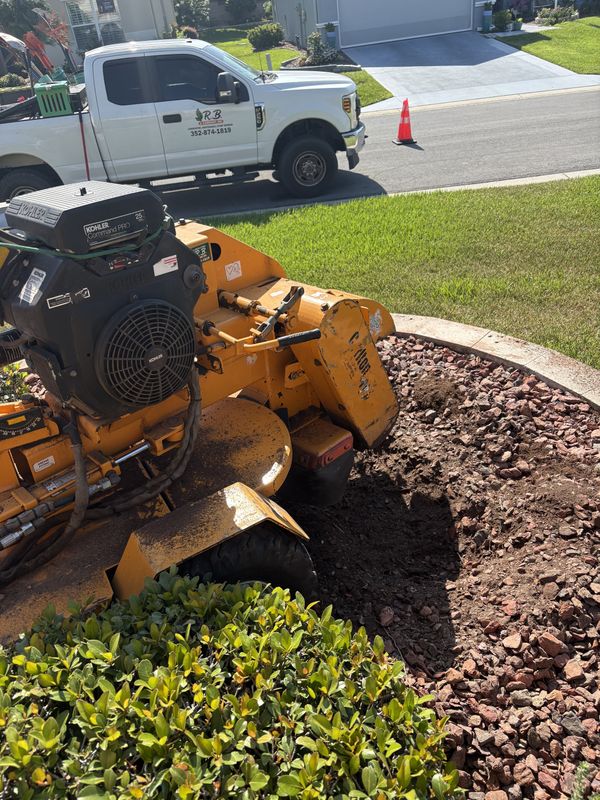 Stump Grinding