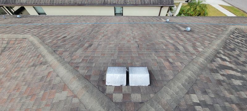 Shingle Roof Cleaning