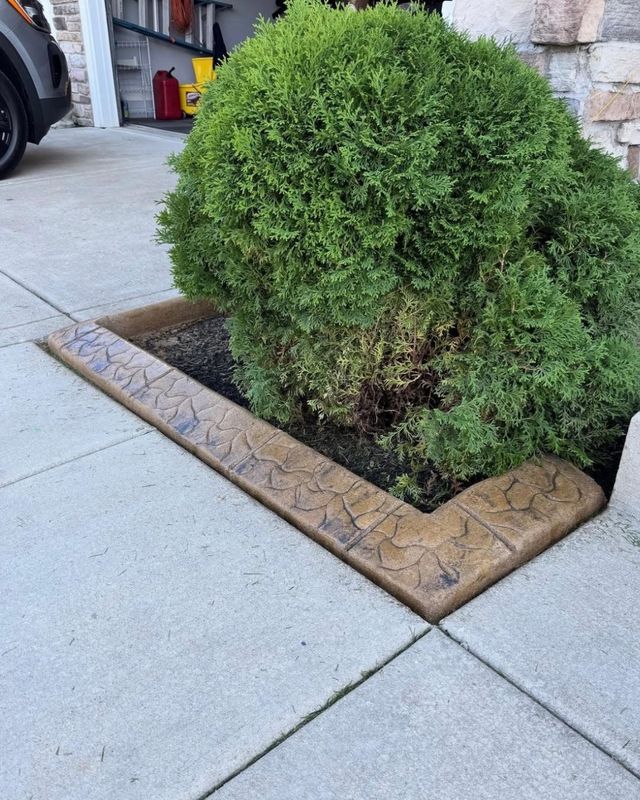 Curb Cutting gallery