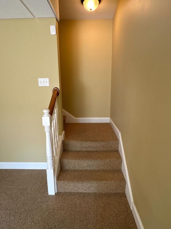 Wall Covering