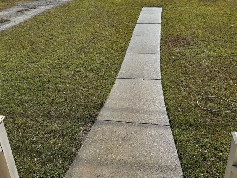 Routine Lawn Maintenance
