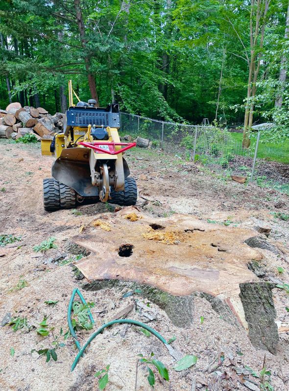 Stump Removal