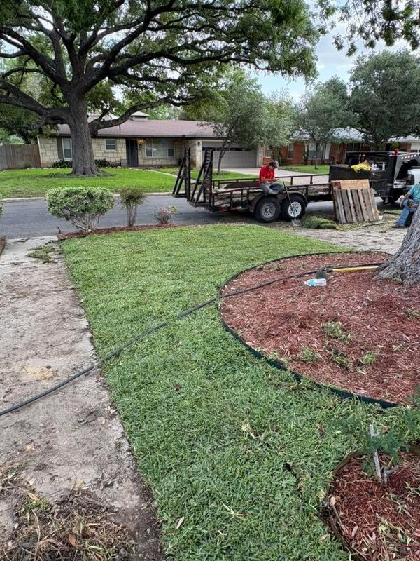 Sod & Seed installs