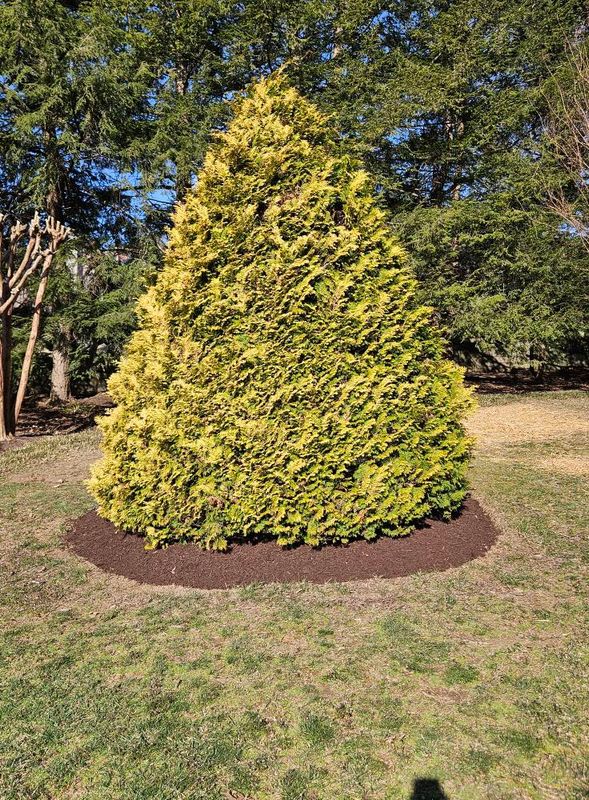 Landscape Installation