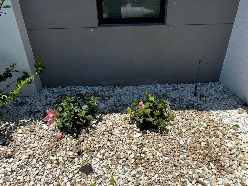 Mulch and rocks installation