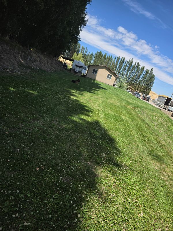 Lawn Mowing