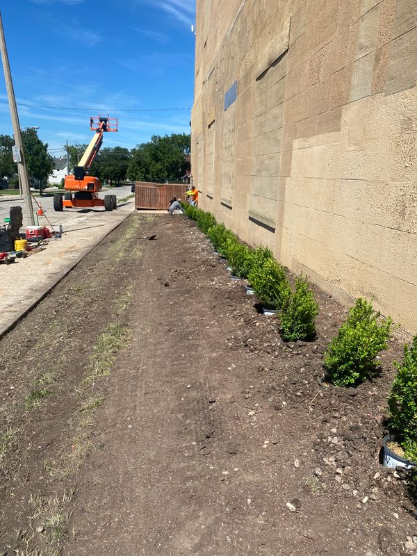 Landscaping