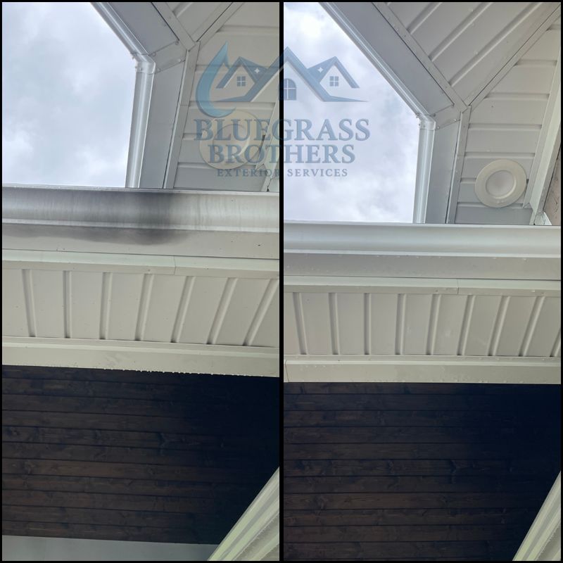 Window Cleaning