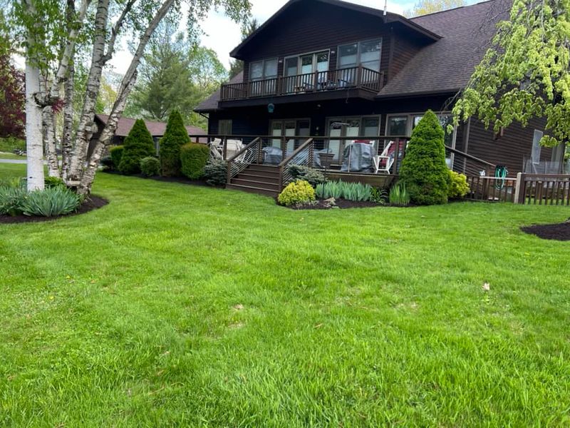 Lawn Care