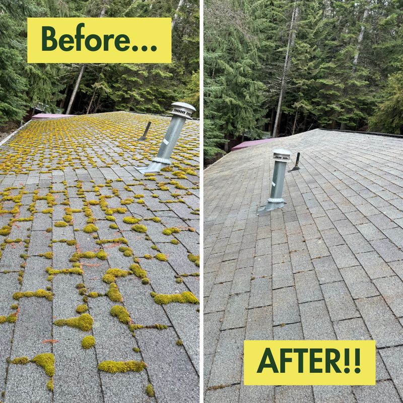Before & After Photos