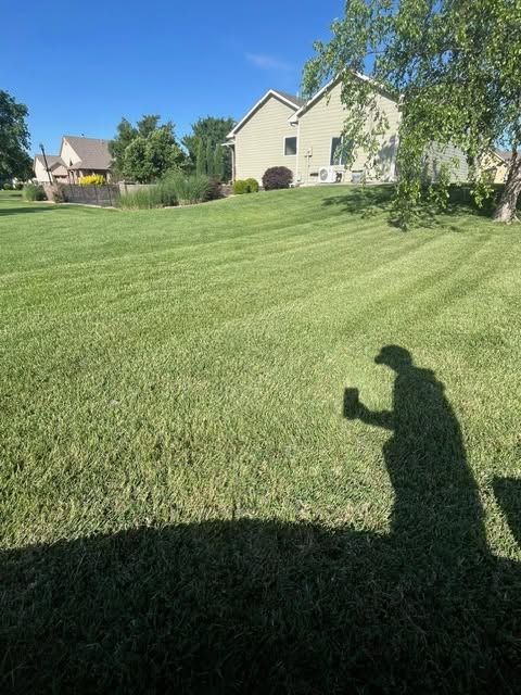 Lawn Maintenance