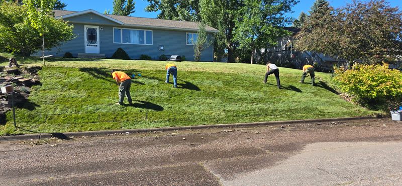 Lawn Maintenance
